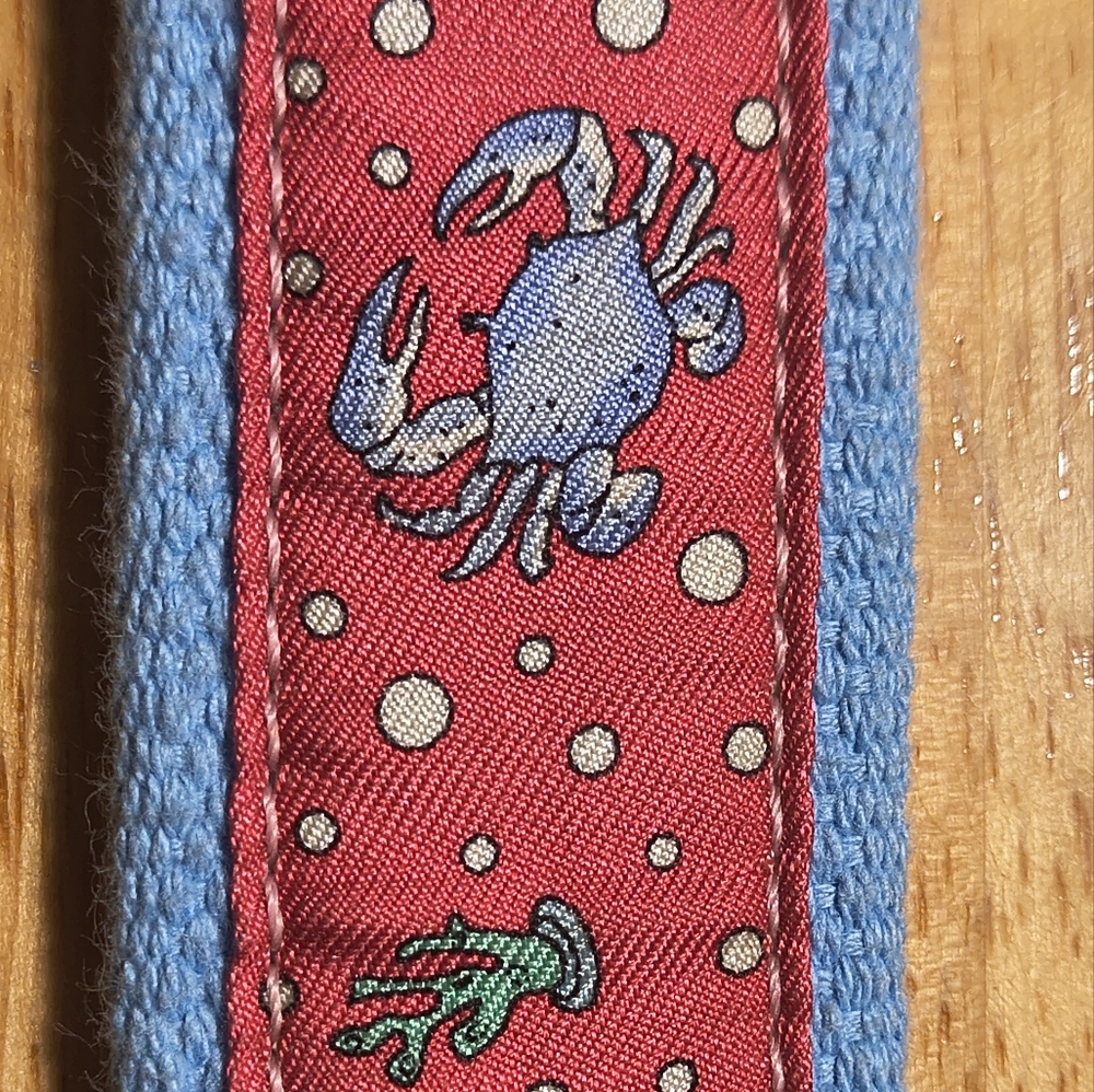 Vineyard Vines Red and Blue Whimsical Belt